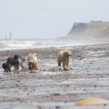 At The Raithwaite Estate Whitby